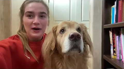 Lesson 2.1 — Percentiles and Cumulative Relative Frequency Graphs