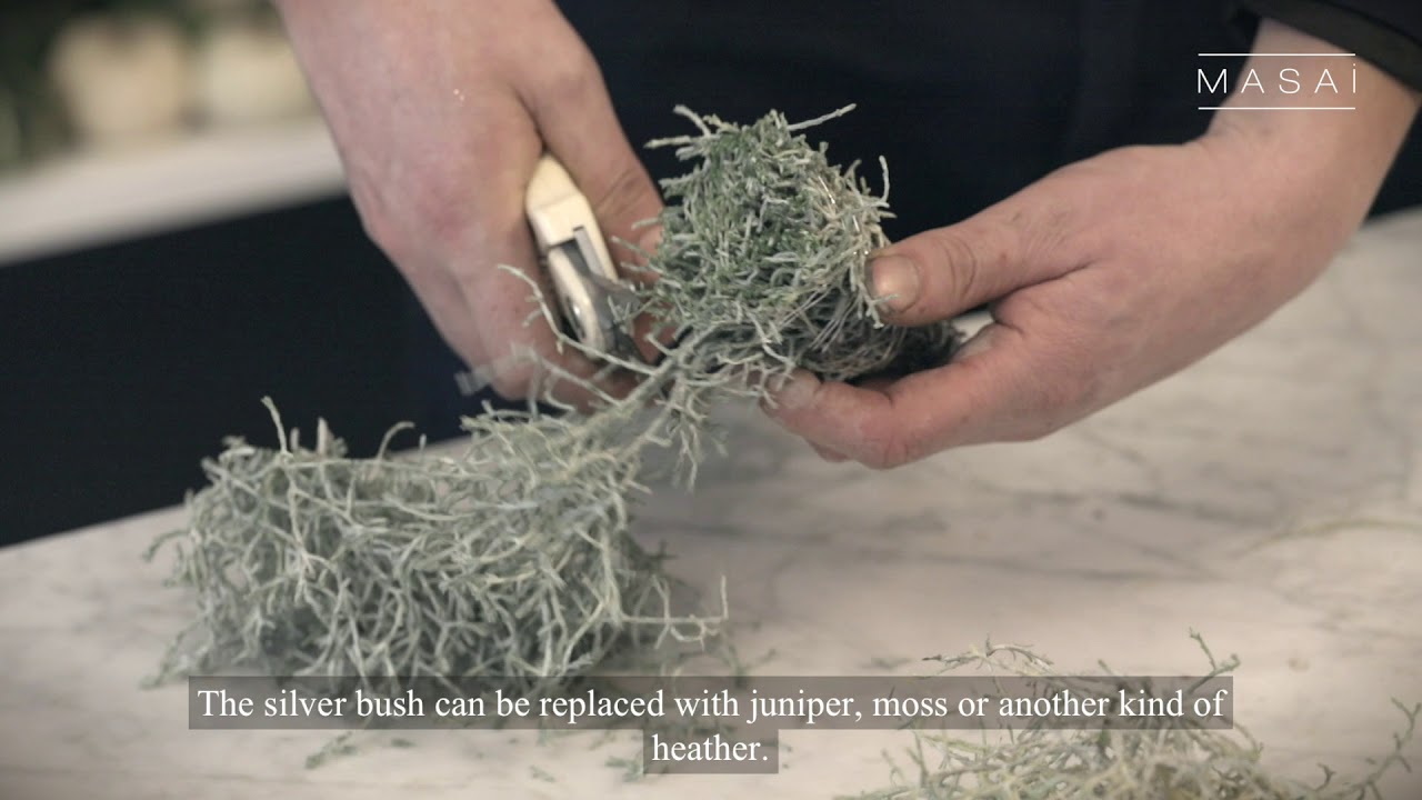 Homemade Christmas tree with Lars Jon