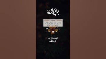 جمعة مباركة عليكم جميعا 🤲💚#سورة_الكهف #صلوا_على_النبي #قرآن #راحة_نفسية #الله #لايك #اكسبلور #جمعة
