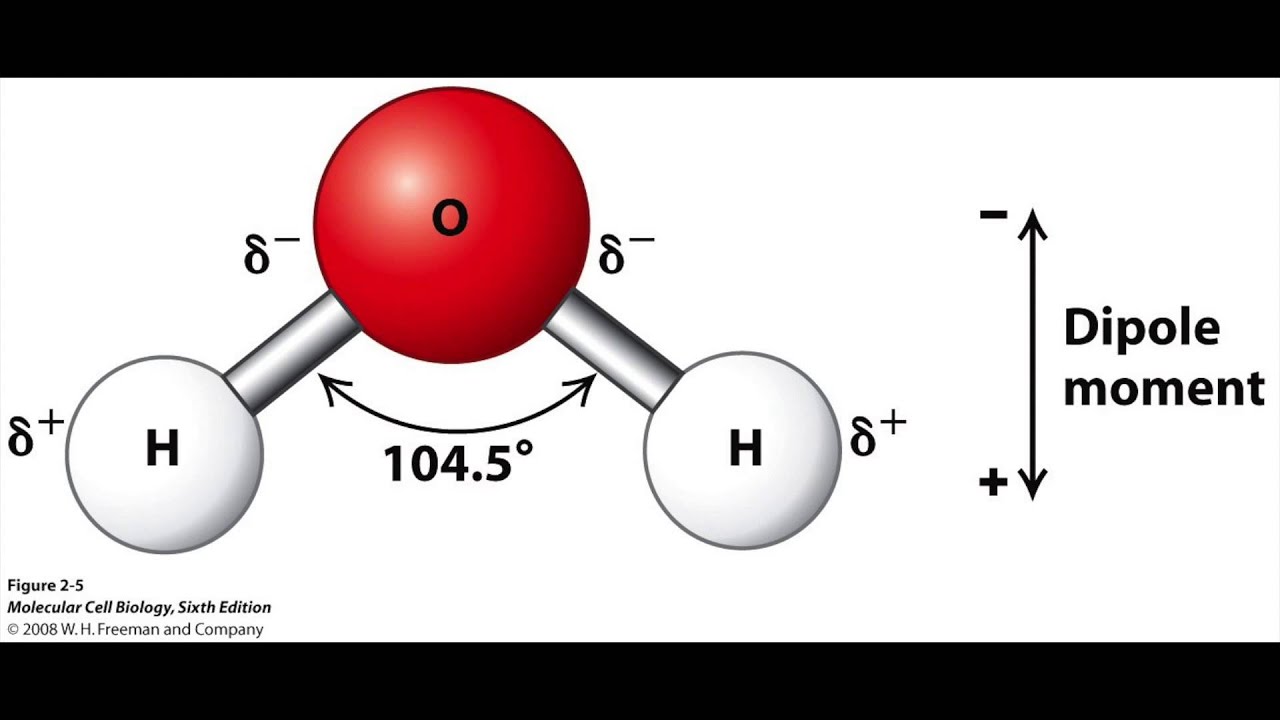 Молекула 104. Дипольный момент молекулы воды. Строение молекулы воды диполь. Молекула воды диполь. Структура воды диполь.