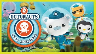 Octonauts: Ocean Adventures - Full Gameplay screenshot 3