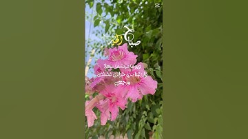 #صباح_الخير #اذكار_الصباح #الله #ذكر_الله #اكسبلور #استغفر_الله #لايك #صبرو #ترند #المصحف