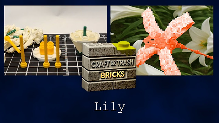 LILY - Texas Toy Distribution Flowers Building Block Series