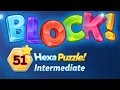 BLOCK Hexa Puzzle Intermediate Level 51 Basic Lsung 