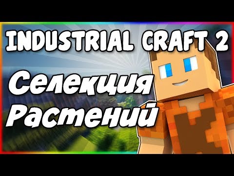 Гайд по Industrial Craft 2 1.12.2 #7 Селекция