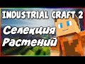 Гайд по Industrial Craft 2 1.12.2 #7 Селекция