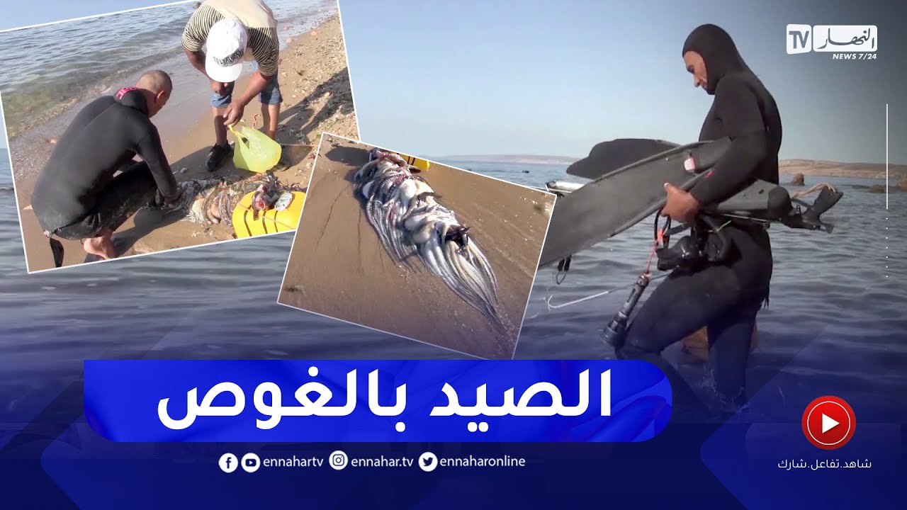 عين تموشنت: محمد.. غوّاص يبحث عن رزقه في الشواطئ الصخرية