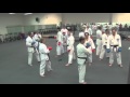 Pt2 Movement and Striking