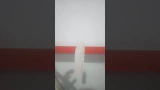 Experimen Bakar Kertas Teh Apa Bisa Terbang1