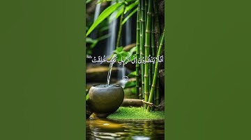 Surah Al-Ghashiyah سورة الغاشية