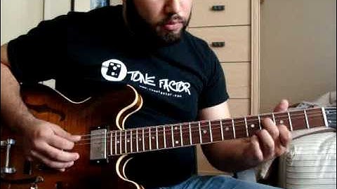 Deluxe Memory Boy Demo Part 4 - Various Settings