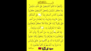 ايات مباركات من سورة البقرة: سعيد ابو زكريا 🇲🇦 #قران_كريم #quran  #ايات_الشفاء@foryou