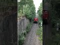 Reichsbahn V60D von WFL am 19.06.2023 in Döbeln-Zentrum #shorts