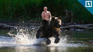 Путин о своих фото «на медведе без рубашки» Путин о своих фото «на медведе без рубашки»