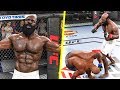 OCTOGONE SANS RÈGLES ! ( UFC 3 )