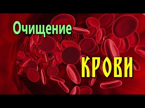 ОЧИЩЕНИЕ КРОВИ от вирусов, бактерий, аллергенов, токсинов...