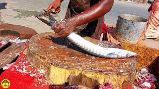 Fresh Seela Cutting||Ooli meen cutting||நல்ல தரமான மீன் செவுள் இப்படி சிகப்பாக இருக்கும்||