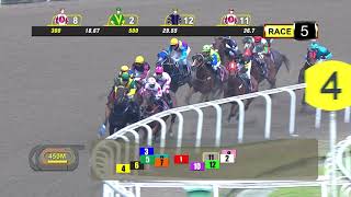 Vidéo de la course PMU OPEN MAIDEN