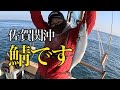 ［佐賀関沖釣り］鯵と鯖で幸運な日！