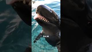 The Ocean Predator That Challenges Orcas! #facts #animals #seacreatures