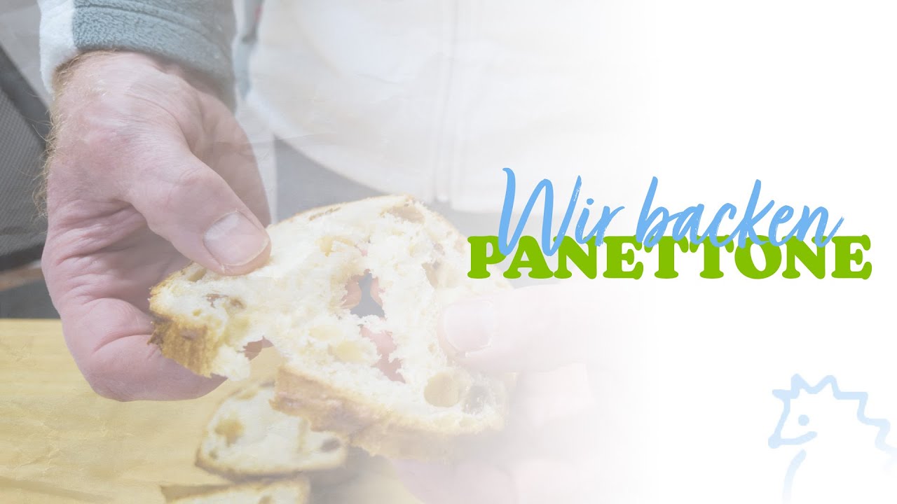 Wir backen Panettone | Igelbäckerei Holste 🍞🍪