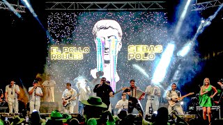 Video thumbnail of "Así Fue - Sebas Polo & El Pollo Robles"