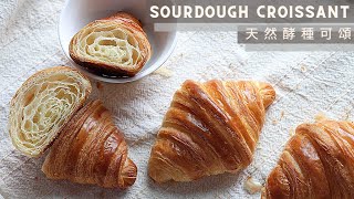 Sourdough Croissant | 天然酵種可頌