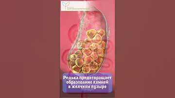 Черная редька – спасение для печени и желчного пузыря