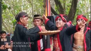 DOGER SEDYO MONTRO BUDOYO  WAROK BERSIK TLOGO JONGE 13-06-2024