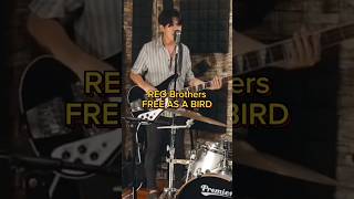 Download Lagu REO Brothers cover FREE AS A BIRD - THE BEATLES | SHORTS MP3