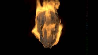 Fire Skull Mental ray