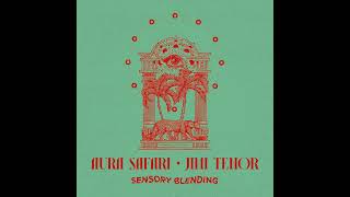 Aura Safari & Jimi Tenor feat Toimi Tytti - My Bluebell