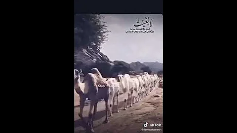 لابغيت اسج ونبسط ساعه دق قلبي من وراء الاضلاعي 