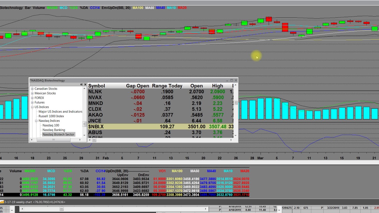 Nasdaq Biotechnology Index Chart