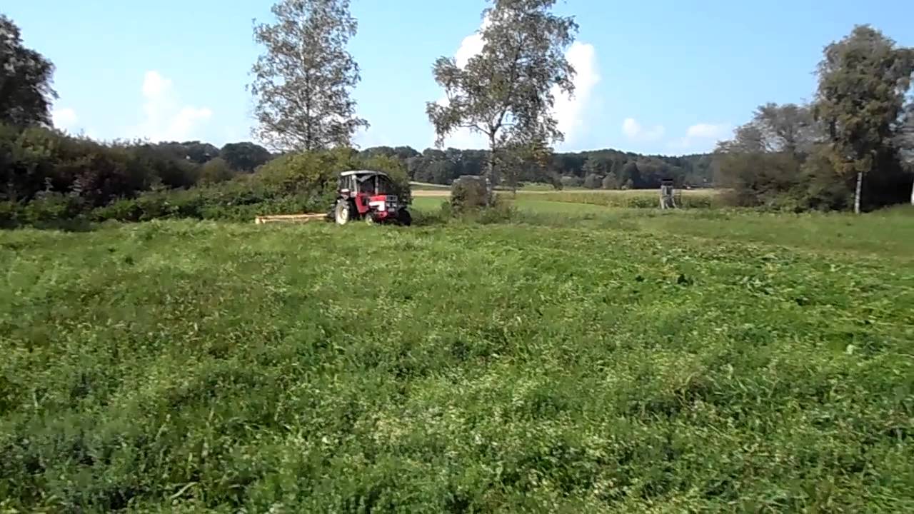 Case ih 533 Mähen mit Krone KM 242 Sound pur