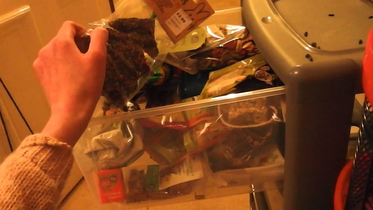rat race Rat treats (Request)