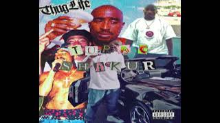Tupac Ft. Eazy E - John Doe (Tupac v.s Everybody EP) 2021