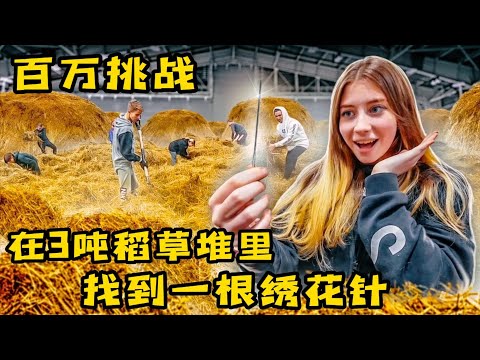 10个人挑战在稻草堆里找一根绣花针，谁先找到就能赢得大奖