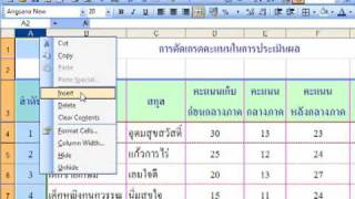 Celebrity Microsoft Excel 2003 for Beginner (Basic) : Alignment Wealth