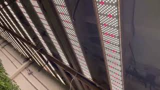 Jack huang 2022 05 05 09 43 49Supreme Energy LED Grow Lights from okc