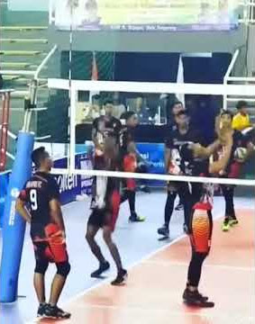 Story wa volly