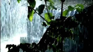 suara hujan untuk tidur disertai suara katak lawan insomnia ( kualitas HD)