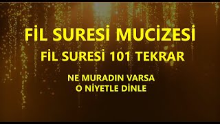 Fil Suresi Mucizesi | 101 Tekrar Fil Suresi | Dinlerken Ne Muradın Varsa Ona Niyet Et