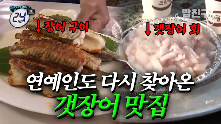 [#밥친구] 오직 갯장어 요리로만 유명해진 섬이 있다?!🐟 갯장어 샤브샤브 + 갯장어 회 + 갯장어 구이등등.. 맛집 정보 싹 다 털어옴🤤 | #관찰카메라24시간 59회