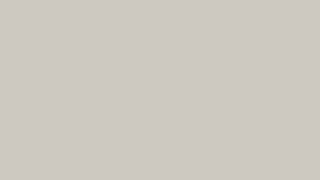 Scrapped animation.