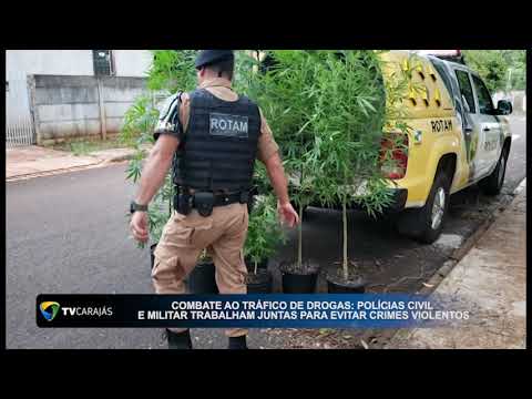 Combate ao tráfico de drogas: Polícia Civil e Militar trabalham juntas para evitar crimes violentos