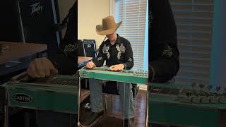 Who Loves A Garth Brooks Tune  Pedal Steel Guitar For much Too Young to Feel This Damn Old
