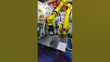 pick and place robots