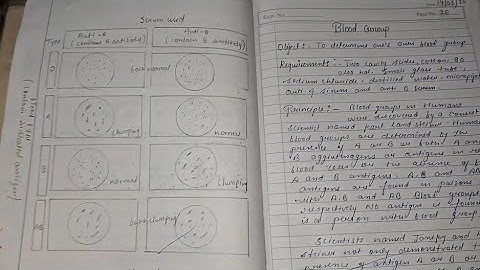 ||Msc 2nd Sem Practical File|| ||Zoology Practical Files|| ||Msc Zoology Practical File||