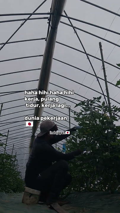 hahahihi tau2 udah tahun ke 6🇯🇵👻 #banyuwangi #japan #fyp